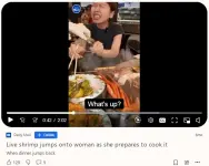 1781832141753.webp