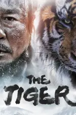 tig.webp