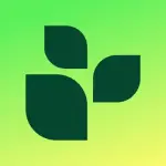 lifesum-mod-apk.webp