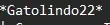 1782312319017.webp