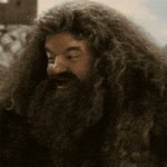 200.gif