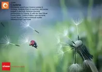 a8070db5cda1915711d8b40e48852f78.webp