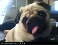 1782787359967.webp