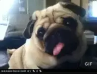 1782791746014.webp