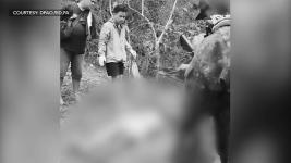 NPA commander killed in CamSur clash