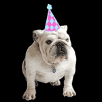 200.gif 200.gif