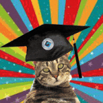Graduation Grad GIF by Bogazici University Graduation Grad GIF by Bogazici University