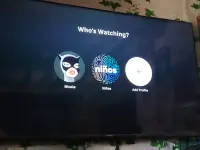 17833055525975333594187068617699.webp