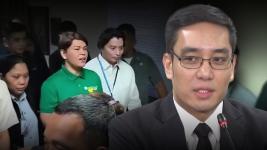 Prosecution panel, iginiit na hindi lang grave threats ang saklaw ng planong pagharap kay VP Sara