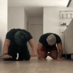 giphy.gif