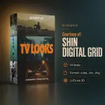 TV Looks.webp
