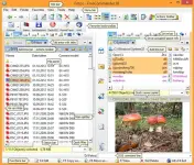 f7275d3e2fdb1bc7818631d5d506abc7.webp