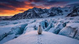 nihilist-penguin-5120x2880.jpg.jpg