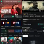 Moviebox.webp