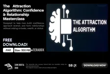Attraction Algorithm.webp