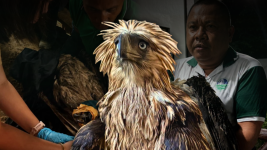 6a57767b78ead8c1ba49778c_13.png