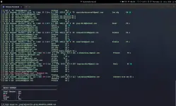 1784177730005.webp