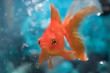 1000008165.webp 1000008165.webp