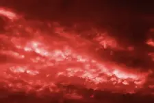 1000008166.webp 1000008166.webp