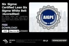 Six Sigma.webp