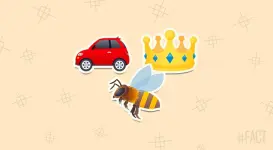 bee-swarm-fun-fact.webp bee-swarm-fun-fact.webp