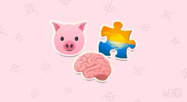 pigs-fun-fact.webp pigs-fun-fact.webp