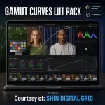 Gamut Curves.webp