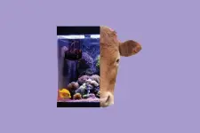 14-.webp 14-.webp