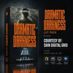 Dramatic Darkness.webp