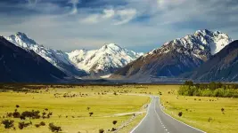 1000008379.webp