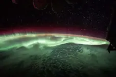 1000008405.webp 1000008405.webp