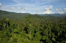there-are-more-trees-on-earth-than-stars-in-the-milky-way-photo-u1.webp there-are-more-trees-on-earth-than-stars-in-the-milky-way-photo-u1.webp