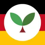 1000169515.webp