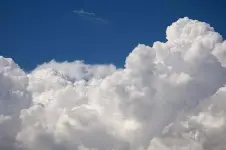 1000008529.webp