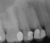 1000008565.webp 1000008565.webp