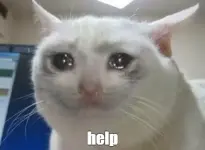 1000025590.webp 1000025590.webp