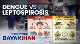 Lagnat lang ba o baka dengue at leptospirosis na, alamin ang pagkakaiba? Lagnat lang ba o baka dengue at leptospirosis na, alamin ang pagkakaiba?
