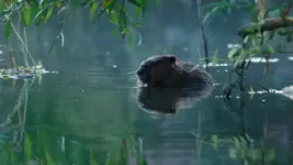 1000008639.webp 1000008639.webp