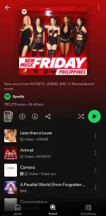 Screenshot_20260725_024046_Spotify.webp