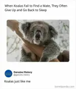 1000008688.webp 1000008688.webp
