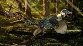 101-need-to-know-facts-velociraptors.webp 101-need-to-know-facts-velociraptors.webp