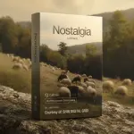 SDGNostalgia.webp