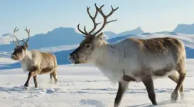 1000008786.webp 1000008786.webp