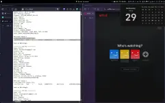 1785328348267.webp 1785328348267.webp