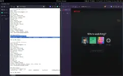 1785501331982.webp 1785501331982.webp