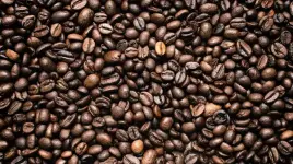 images (31).webp images (31).webp