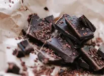 dark-chocolate.webp dark-chocolate.webp