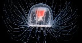 1000009069.webp 1000009069.webp