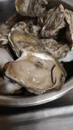 1000055393.webp 1000055393.webp