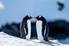 1000009094.webp 1000009094.webp
